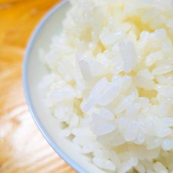 令和7年 新米】京都府産 お米 コシヒカリ 【精米済 3kg】 ｜ 米・穀物