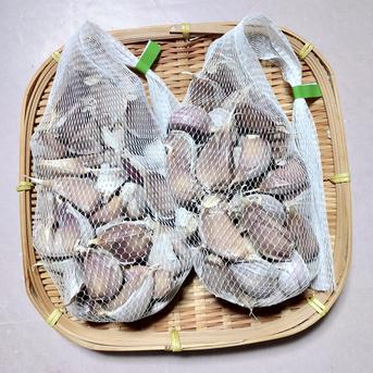 小さめ ピンク バラにんにく】600g 北海道産 北海道在来種 農薬不使用