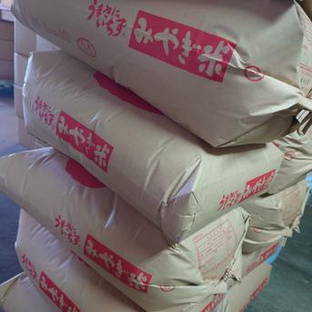12月上旬発送「新米もち米玄米30kg」令和7年度宮城県産みやこがねもち