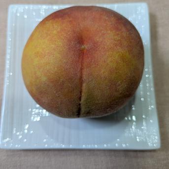 川中島白桃🍑完熟黄金桃セット【数量限定】8玉 ｜ 果物/もも 産直