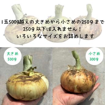 永田農園の玉ねぎ 6.5キロ ｜ 野菜/玉ねぎ 産直アウル 農家・漁師など