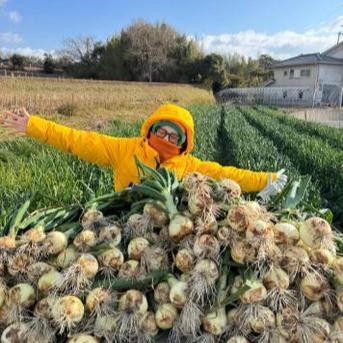 淡路島農家直送　極早生品種　玉ねぎの苗500本 予約】生産農家直送 淡路島産ブランド新玉ねぎ 『にじたま』超極早生