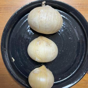 食品 兵庫県産 生 ジャンボにんにく バラ 10キロ フレッシュ ジャンボ