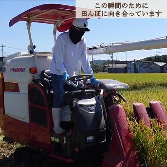2026年 岡山県産 きぬむすめ 10kg 玄米 ｜ 米・穀物/玄米 産直アウル