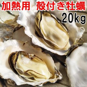 【飲食店向け】牡蠣★20ｋｇ 【実は冷凍の方が良い時期です】宮城県産 殻付き 牡蠣 殻付き牡蠣 殻付 カキ 加熱調理用 20kg 魚介類/牡蠣通販