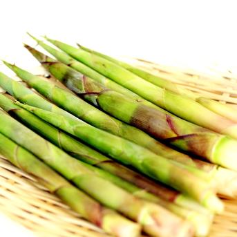 予約受付中　山菜 細竹（根曲がり竹）休耕地栽培 １ｋｇ １ｋｇ 野菜/たけのこ通販