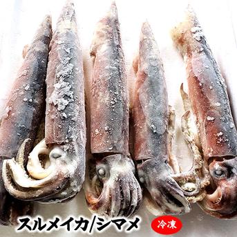 スルメイカ（冷凍）大　４杯×約400-499ｇ　個包装　お刺身OK！　塩辛作るならおすすめなサイズ感 大　４杯×約400-499ｇ 魚介類/イカ通販