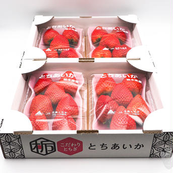 いちご王国ニューフェイス！【とちあいか】5箱10パック 5箱10パック入り　(1パック280g以上) 果物/いちご通販