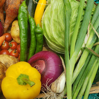 旬の京野菜かやぶきセット❗【6～8品目】 大根白菜が大きいので箱になるべくたくさんお野菜を！ 野菜/野菜セット・詰め合わせ通販