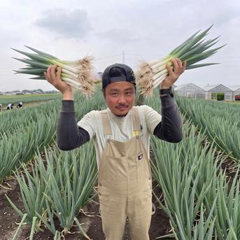 深谷蜜ねぎ（10kg）｜農家直送・新戒産・冬限定の贅沢ねぎ ｜ 野菜