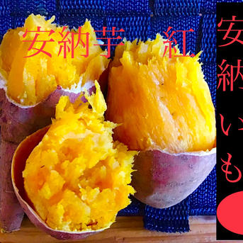 安納芋種子島産　20kg MLサイズ 焼き芋に最適　さつまいもの王道　#安納芋 種子島産安納芋 MLサイズ4.5kgkg 焼き芋に さつまいも ｜ 野菜