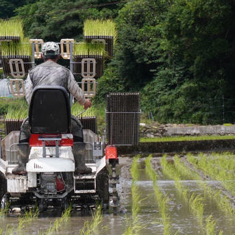 令和６年度　玄米１０kg　群馬県産 令和6年度 玄米10kg 群馬県産
