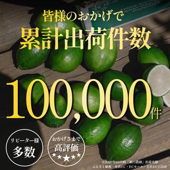皮まで食べられる】グリーンレモン 10kg 防腐剤・ワックス不使用