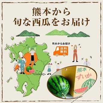 くまもと食彩の力 産地直送 熊本 すいか 1玉 約4Kg 2Lサイズ以上 特A優品【001】 西瓜  熊本県産 果物 フルーツ ギフト プレゼント用【バイヤー推奨商品】 1玉 約4Kg 箱込み 果物/スイカ通販