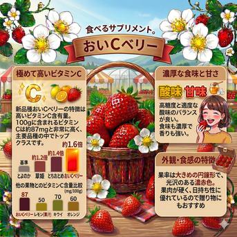 南信州で育った 【完熟おいCベリー100％】真空パック小分け冷凍 235
