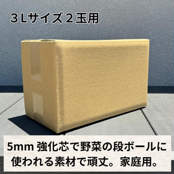 オルフェメロンB品【7L】2玉 B品７Lサイズ２玉 果物/メロン通販