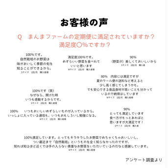 【自然栽培】お試しまんま野菜の宝箱M 3〜5kg未満 野菜/野菜セット・詰め合わせ通販