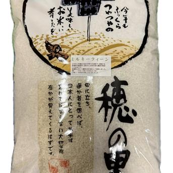 令和7年産 新米 石川県産 ミルキークイーン 玄米 10kg | 米・穀物/玄米