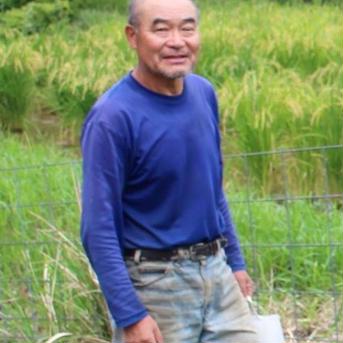 【２月セール】自然栽培「金のいぶき」玄米　５ｋｇ ５ｋｇ 米・穀物/玄米通販