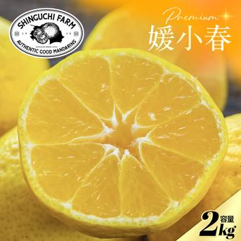 媛媛小春　9kg　愛媛県松山市産 希望の島】 媛小春 特選品 2kg 愛媛県 松山市 中島産 ひめこはる 柑橘