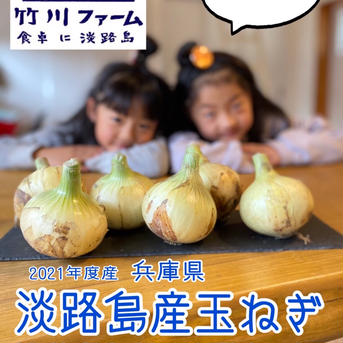 竹川ファームの淡路島産新玉ねぎ　最高品種　七宝 5キロ 野菜/玉ねぎ通販