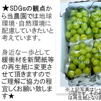 【カナダ人農園主の真心を込めた】シャインマスカット約5ｋｇ シャインマスカット約5ｋｇ 果物/ぶどう通販