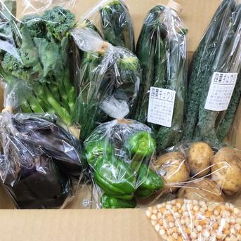 野菜18袋 お楽しみ野菜セット ｜ 野菜/野菜セット・詰め合わせ 産直