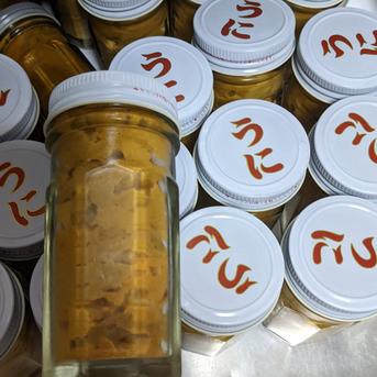 アウルの日　一番うに 一瓶約７０グラム　五本 魚介類/ウニ通販