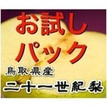 ご自宅用 21世紀梨デラックス 5キロ ｜ 果物/梨 産直アウル 農家・漁師