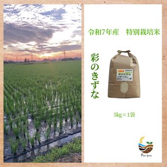 R7年産特別栽培米 彩のきずな 5kg ｜ 米・穀物/米/精米 産直アウル 