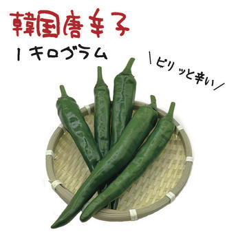 食品 訳アリ 青唐辛子 激辛10kg