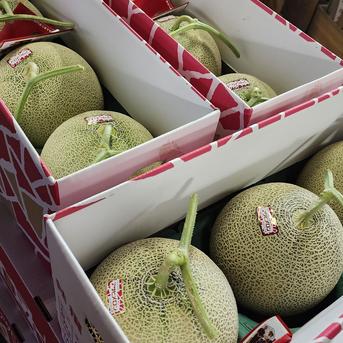 北海道赤肉メロン 超特大3玉入 1箱8ｋｇ以上【アウルの日】富良野メロンなど 1箱3玉入8ｋｇ 果物/メロン通販