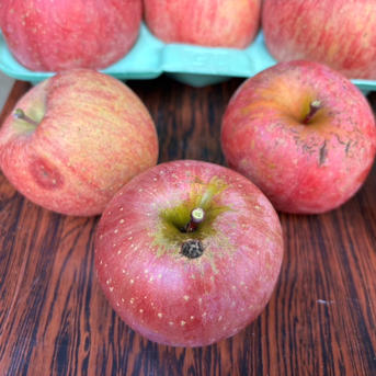 🍎【訳あり】サンふじ：ご家庭用に ｜ 果物/りんご 産直アウル 農家