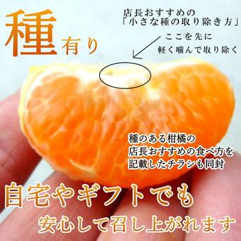 大特価の訳あり品】蜜之望 特大玉サイズ お試し商品 5kg入 ｜ 果物
