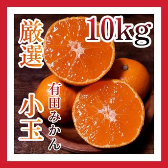 Sサイズ以下厳選小玉　有田みかん　ご家庭用　和歌山　有田市　産地直送　10kg(箱込み)＋補償分 10kg(箱込み)＋補償分増量 果物/温州みかん通販