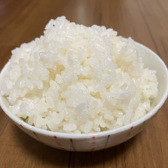 コシヒカリ　令和7年度福井県産　白米 令和7年度 福井県産コシヒカリ 白米 ｜ 米・穀物/米/精米 産直アウル