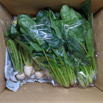 ダイコン、小カブ、ホウレンソウ、茎立ち、わさび菜 約3.4kg 野菜/野菜セット・詰め合わせ通販