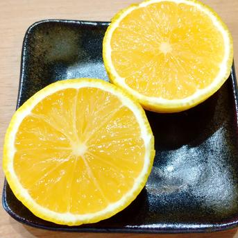種無しかぼす　風味豊か 大変便利　５Ｋｇ 農薬不使用 完熟種なしカボス5キロ ｜ 果物/香酸柑橘(ライム・レモン等