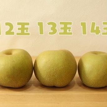長野県産　梨　幸水　5kg  贈答品 5kg 果物/梨通販