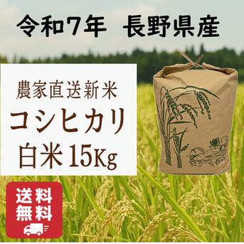 6周年限定】【白米】コシヒカリ 15Kg 送料無料 令和7年 長野県産 新米