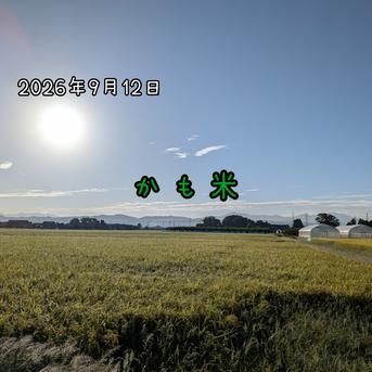 無農薬米新潟県産コシヒカリ10k ｜ 米・穀物/米/精米 産直アウル 農家