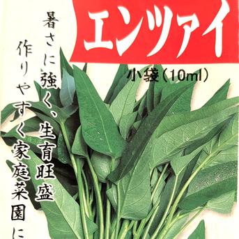 空芯菜（エンツァイ）農薬不使用（無農薬）栽培 空芯菜　1.0㎏ 野菜/その他野菜通販