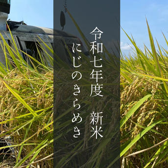 精米 新米 20kg にじのきらめき 佐賀県産 精米 新米 20kg にじの