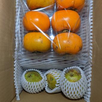 柿、リンゴ、ラ・フランス約4.5kg 約4.5kg 果物/果物セット・詰め合わせ通販