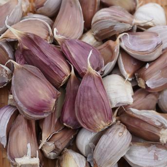 小さめ ピンク バラにんにく】600g 北海道産 北海道在来種 農薬不使用