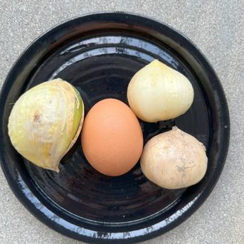 ジャンボにんにく　小さめ 当園のジャンボの中で「小さめ」商品 野菜/にんにく通販