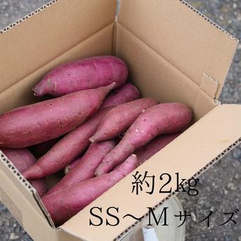 送料込み!! 追熟シルクスイート さつまいも 栽培期間中農薬不使用 宮崎県産約2㎏ SS〜Mサイズ 約2㎏ SS〜Mサイズ 野菜/さつまいも通販