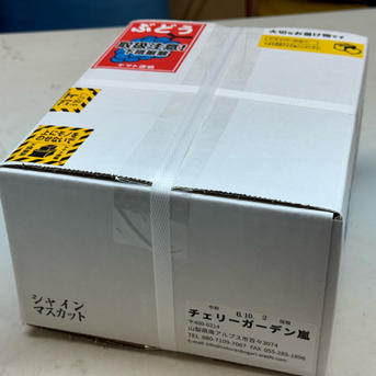 【マスカット&グリーンアップル】数量限定お得セット☆ Amazon.co.jp: ゼンジン未到とヴェルトラウム〜銘銘編〜 (初回
