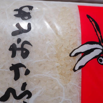 新米　令和五年産　ふさおとめ　無洗米　10kg 5kg×2 米・穀物/無洗米通販