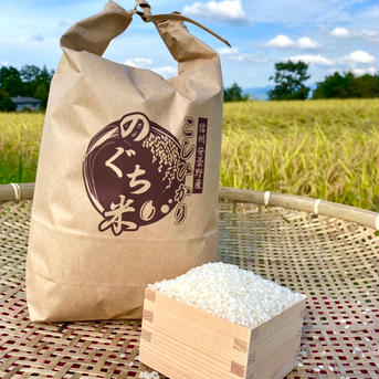 のぐちファーム安曇野産☆新米☆　令和6年コシヒカリ20k ２０キロ 米・穀物/米/精米通販